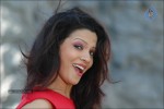 Parinidhi Spicy Stills - 34 of 97