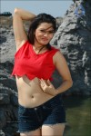 Parinidhi Spicy Stills - 94 of 97