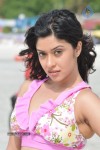 Payal Ghosh (Harika) Spicy Gallery - 12 of 96