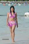 Payal Ghosh (Harika) Spicy Gallery - 18 of 96