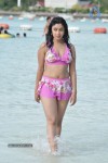 Payal Ghosh (Harika) Spicy Gallery - 31 of 96