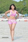 Payal Ghosh (Harika) Spicy Gallery - 32 of 96