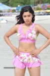 Payal Ghosh (Harika) Spicy Gallery - 35 of 96
