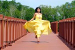 Payal Ghosh Spicy Photo Gallery - 3 of 103