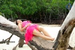 Payal Ghosh Spicy Photo Gallery - 37 of 103