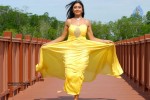 Payal Ghosh Spicy Photo Gallery - 42 of 103