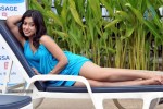 Payal Ghosh Spicy Photo Gallery - 72 of 103