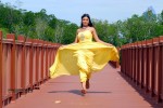 Payal Ghosh Spicy Photo Gallery - 92 of 103
