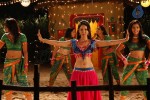Pooja Bose Spicy Stills - 11 of 74