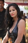 Poonam Pandey Hot Photos - 48 of 60