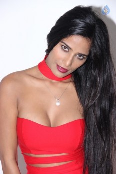 Poonam Pandey Hot Pics - 25 of 31