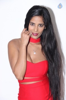 Poonam Pandey Hot Pics - 6 of 31