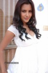 Priya Anand Spicy Pics - 35 of 24