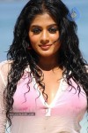 Priyamani Hot Photos - 34 of 82