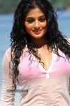 Priyamani Hot Photos - 58 of 82