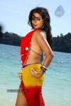 Priyamani Hot Photos - 63 of 82