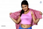 Priyanka Hot Photo Shoot - 31 of 50