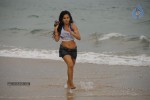 Rachana Mourya Hot Stills - 38 of 39