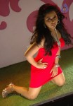 Rachana Mourya Spicy Pics - 9 of 88