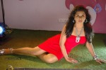 Rachana Mourya Spicy Pics - 34 of 88
