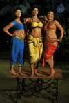 Raj Mahal Movie Item Song Stills - 59 of 104