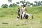 Rajakota Rahasyam Movie Spicy Stills - 20 of 44