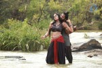 Ravi Varma Movie Hot Photos - 7 of 24