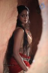 Ravi Varma Movie Hot Photos - 18 of 24