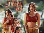 Ravi Varma Movie Hot Photos - 19 of 24