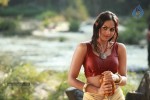 Ravi Varma Movie Hot Photos - 20 of 24
