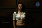 Reema Sen Spicy Stills In Yuganiki Okkadu Movie - 4 of 29