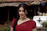 Richa Gangopadhyay Spicy Pics - 29 of 65