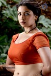 Richa Gangopadhyay Spicy Pics - 42 of 65