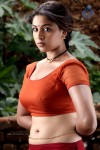 Richa Gangopadhyay Spicy Pics - 63 of 65