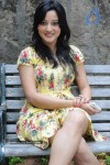 Ritu Barmecha Hot Stills - 28 of 78