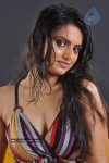 Ritu Kaur Hot Stills - 2 of 119