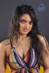 Ritu Kaur Hot Stills - 29 of 119