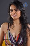 Ritu Kaur Hot Stills - 32 of 119