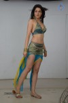 Sakshi Choudary Hot Photo Shoot - 6 of 99