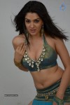 Sakshi Choudary Hot Photo Shoot - 34 of 99
