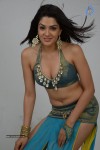Sakshi Choudary Hot Photo Shoot - 54 of 99