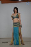 Sakshi Choudary Hot Photo Shoot - 61 of 99