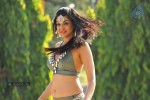 Sakshi Choudary New Hot Stills - 23 of 208