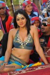 Sakshi Choudary New Hot Stills - 27 of 208
