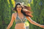 Sakshi Choudary New Hot Stills - 37 of 208