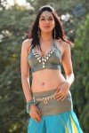 Sakshi Choudary New Hot Stills - 39 of 208