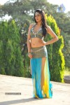 Sakshi Choudary New Hot Stills - 77 of 208