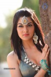 Sakshi Choudary New Hot Stills - 79 of 208