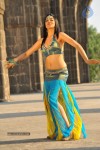 Sakshi Choudary New Hot Stills - 91 of 208