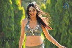 Sakshi Choudary New Hot Stills - 152 of 208